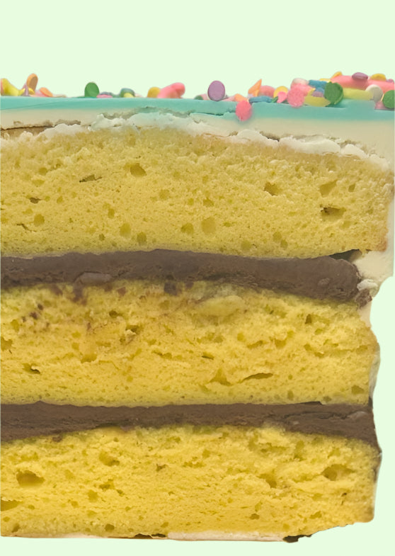 Birthday Party Cake